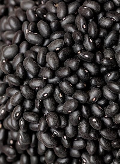 Medium-sized, oval black beans