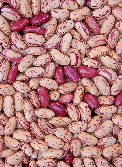 Long, beige light speckled kidney beans with red markings